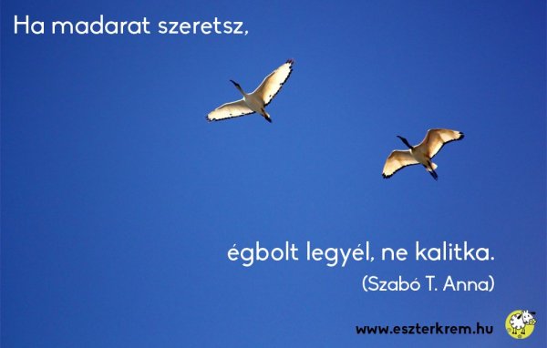 madarat_szeretek